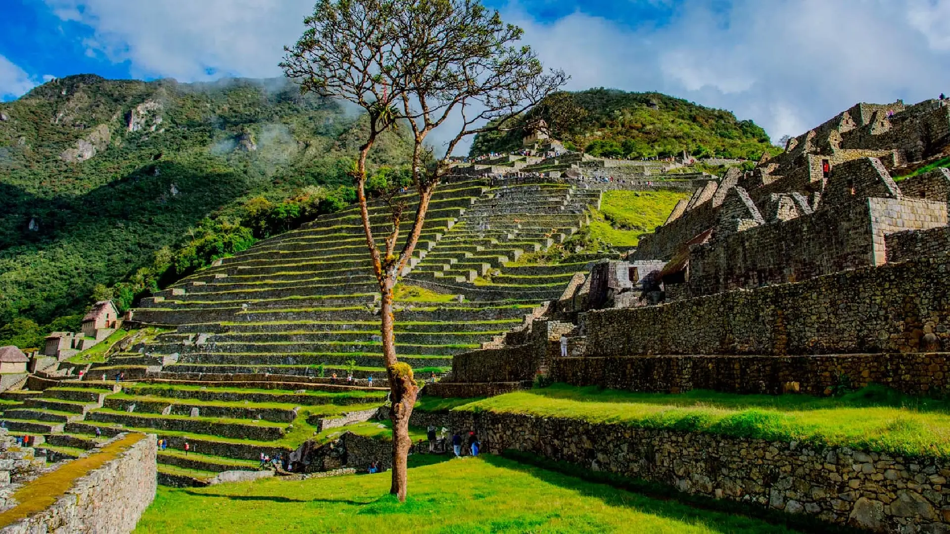Machu Picchu Full Day