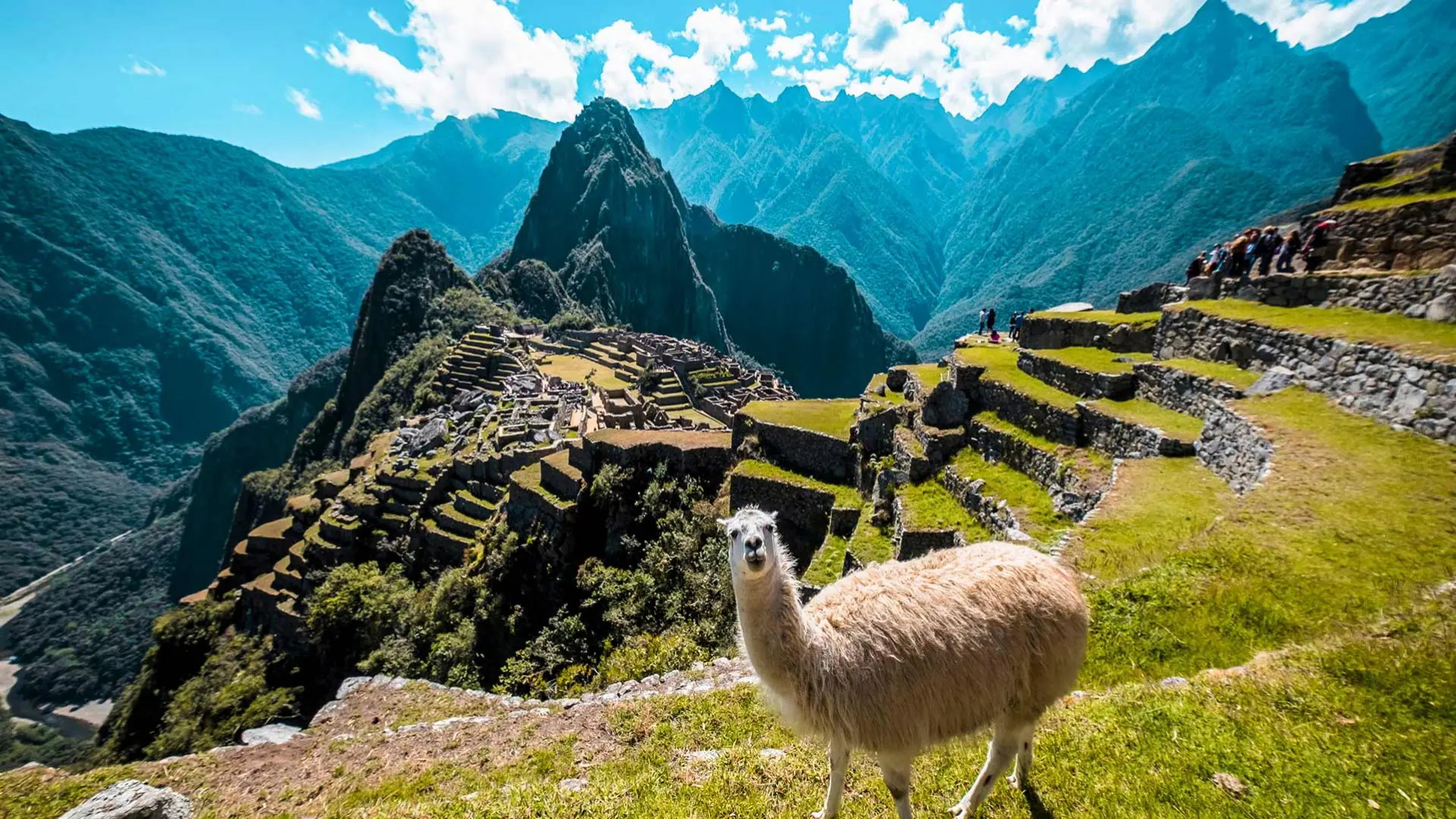 Machu Picchu y Cusco (7 Dias)