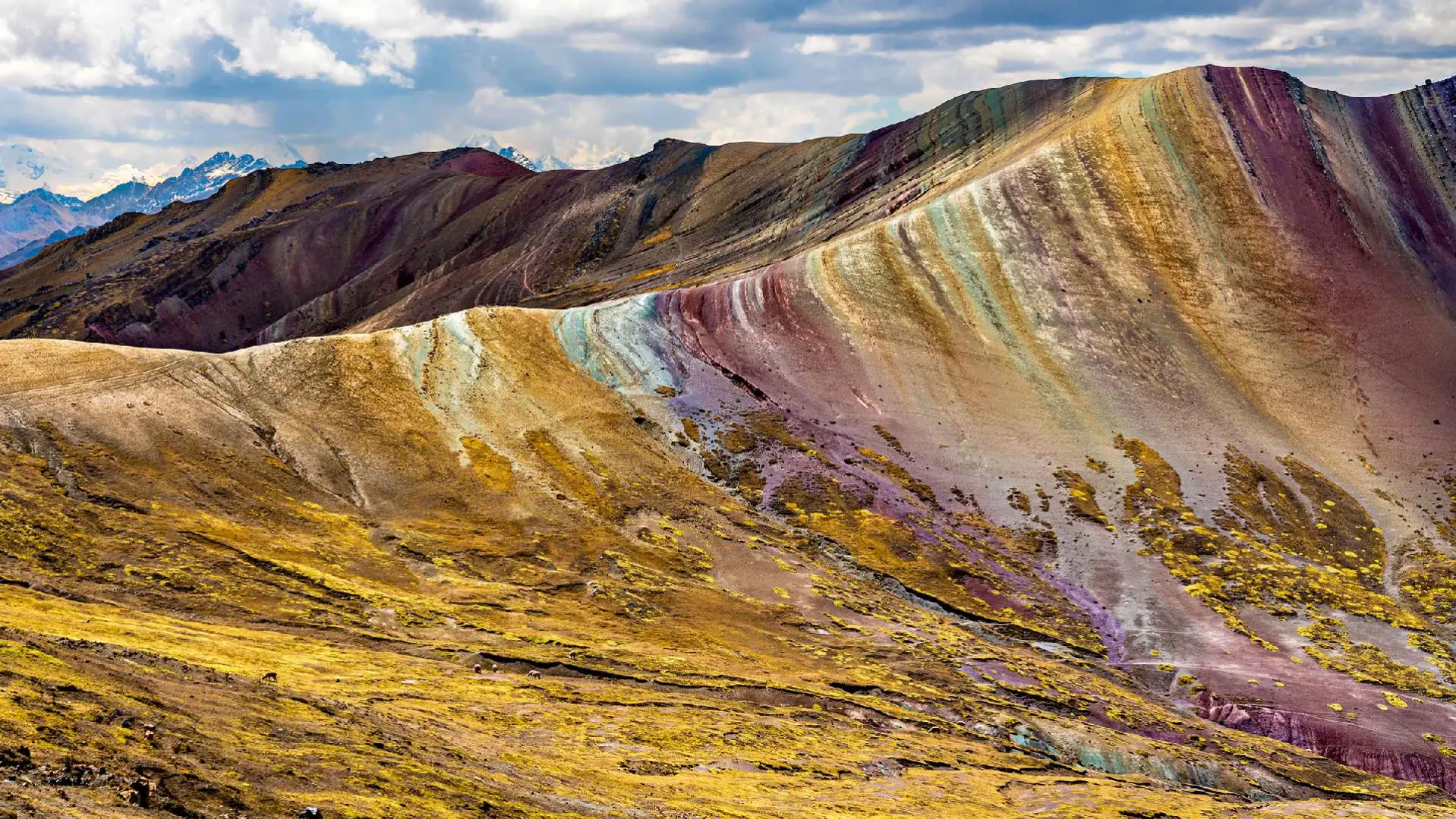 Machu Picchu Y Montaña de Colores 2 Días